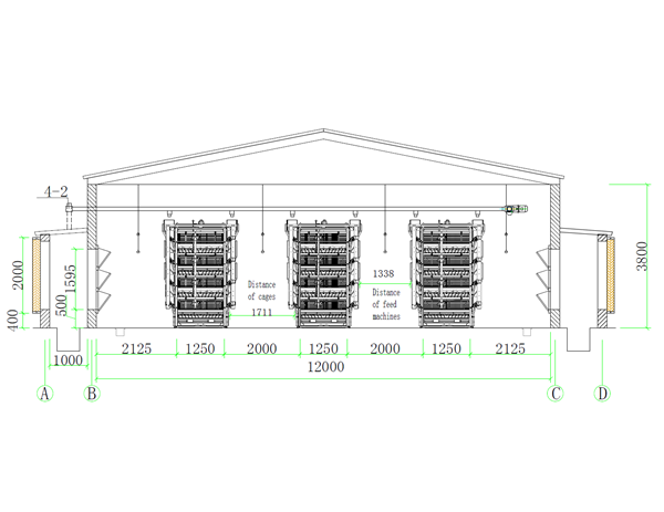 layout chicken farm