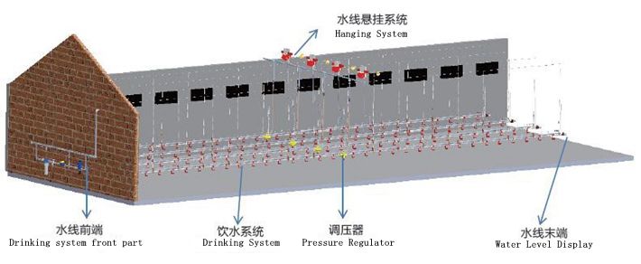 chicken farm drinking system