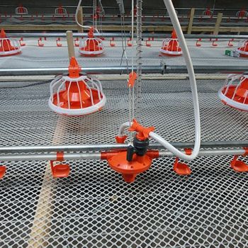 Water level indicator