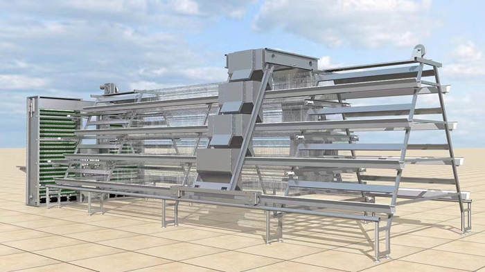 automatic feeding for poultry layer cage