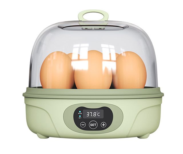 egg incubator