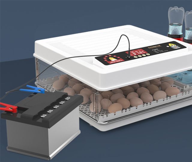 Egg Hatching Machine
