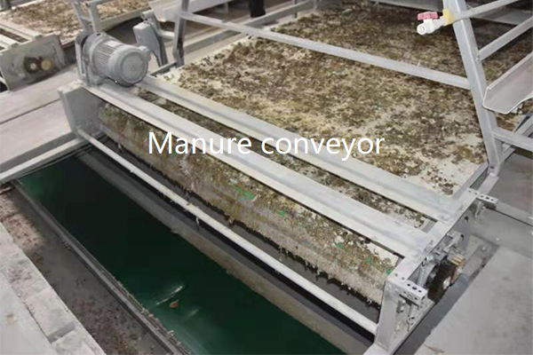 Manure conveyor