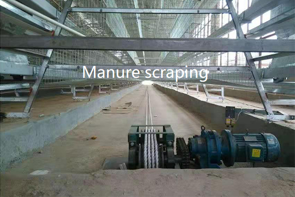 Manure scraping