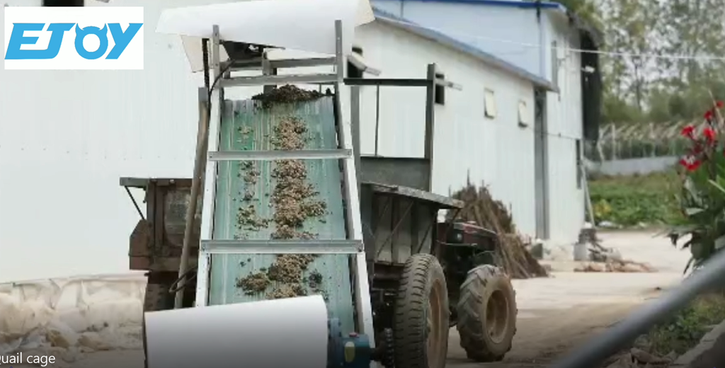 quail cage manure removal