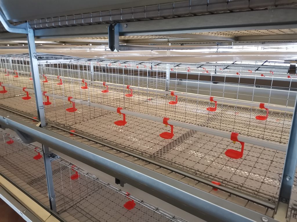 broiler cage door design