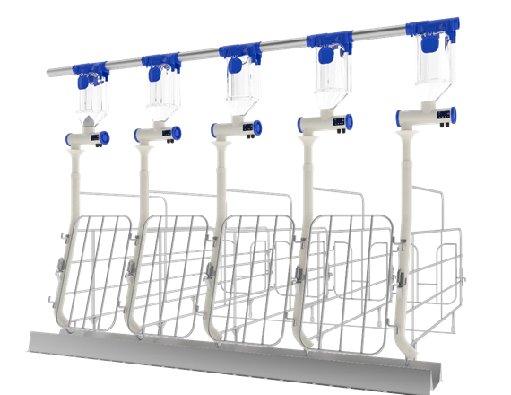 Intelligent gestation sow feeder
