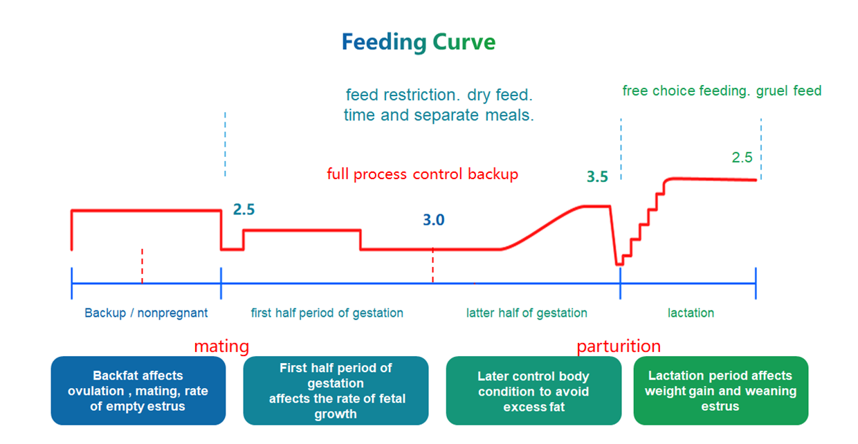 feed curve of intelligent sow feeder
