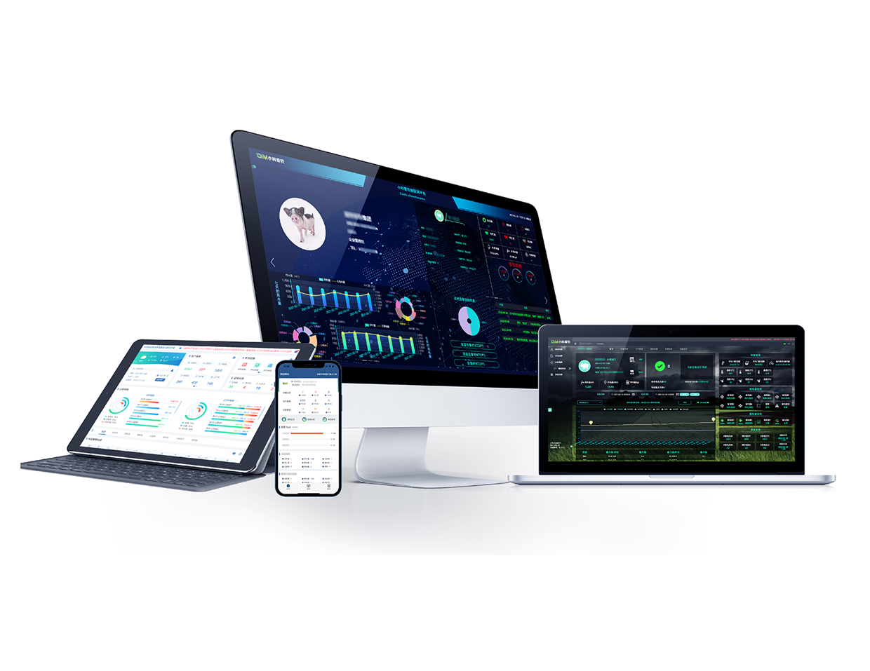 IOT system of intelligent sow feeder 01