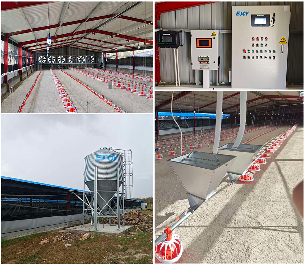 broiler floor breeding project