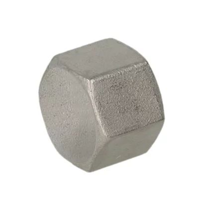 Stainless steel screwed Hexagon Cap