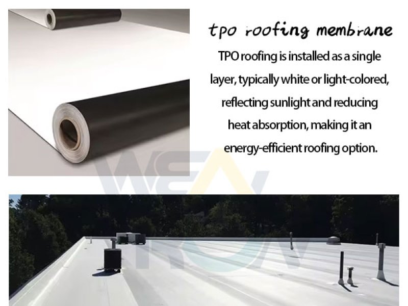 tpo membrane roof cost