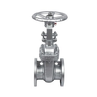 DIN Gate Valve PN100