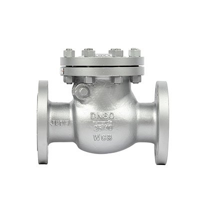 DIN Check valve PN25-40 DN80