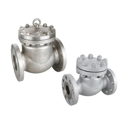 Flange Check Valve