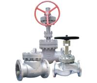 Cast Steel Valve