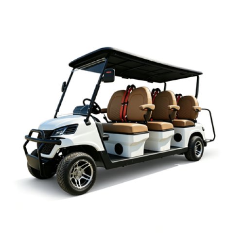 Golf Cart Z6S