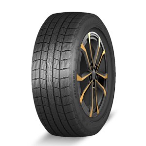 WINTER RX821