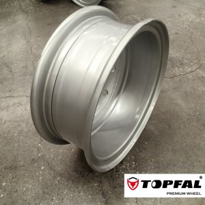 RIM2