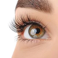 Mink Lashes 