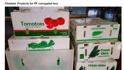 cartonplast PP corrugated box making machine complete plant