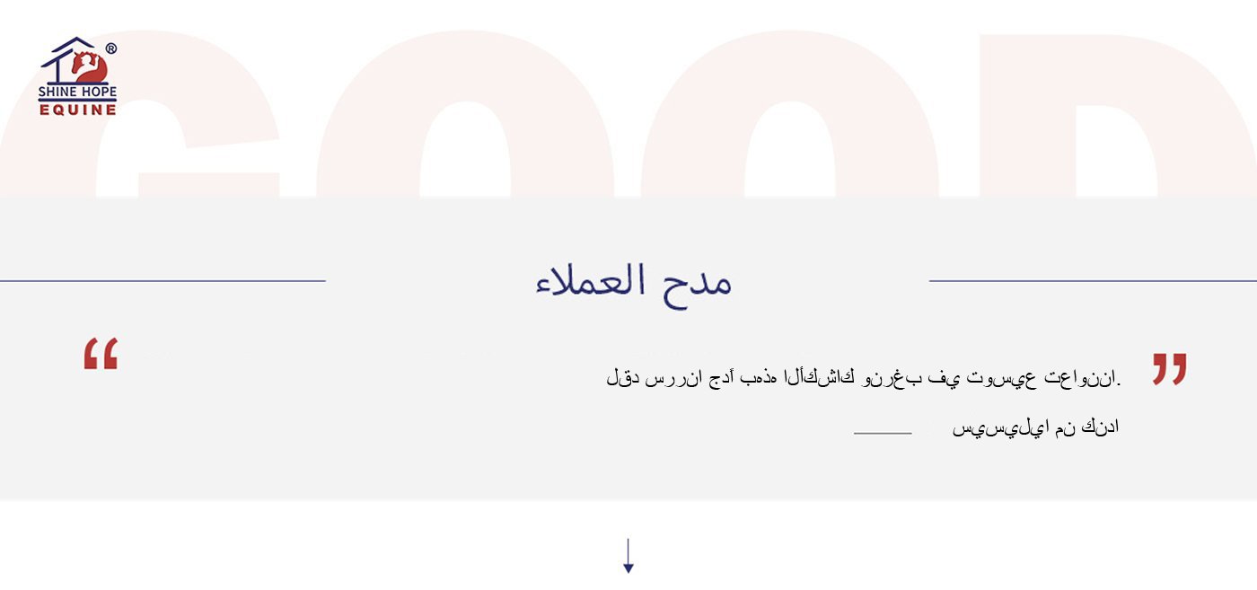 阿拉伯feedback2