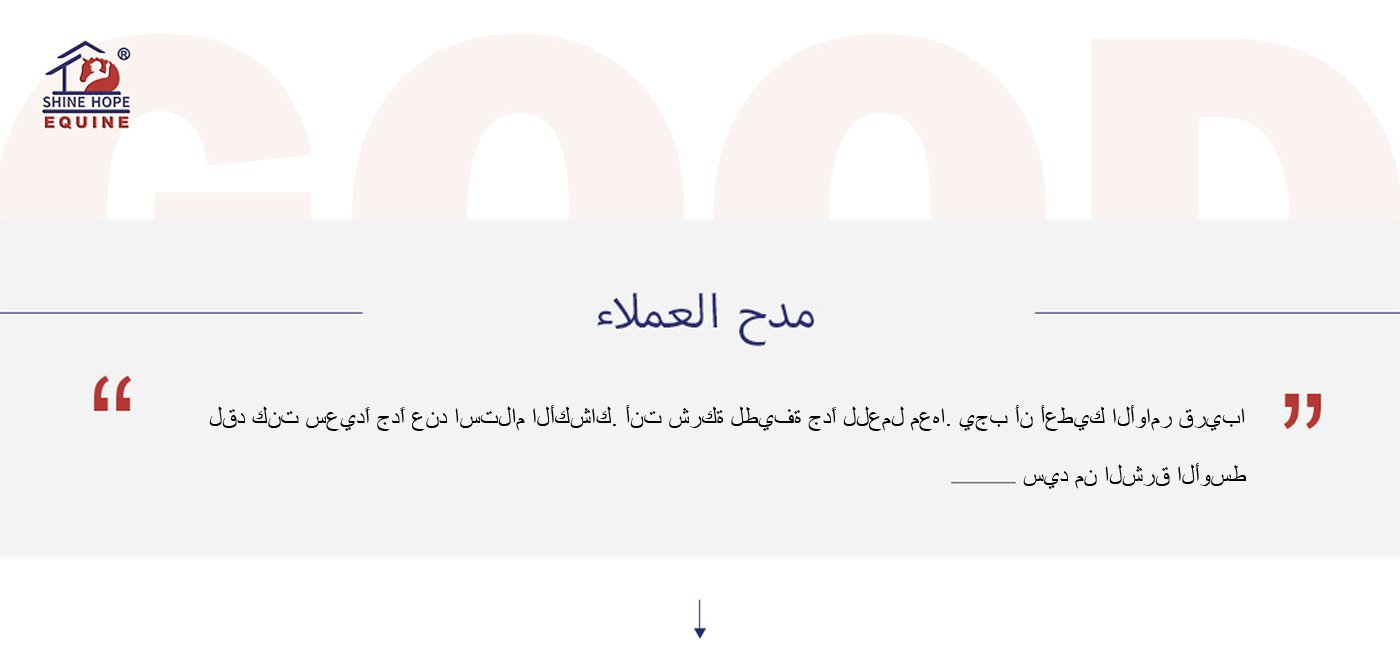 阿拉伯feedback5