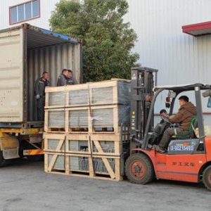 Las jaulas de la incubadora tipo H se cargaron y transportaron con éxito a Mongolia
