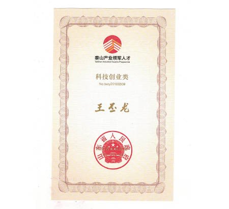 Good News | Wang Pilong, General Manager of Qingdao Jiaen Semiconductor, Won The Title Of "Taishan Industry Leading Talent"