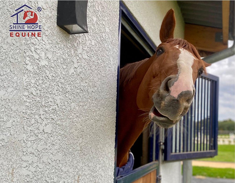 Horse Barn Window SHE9196