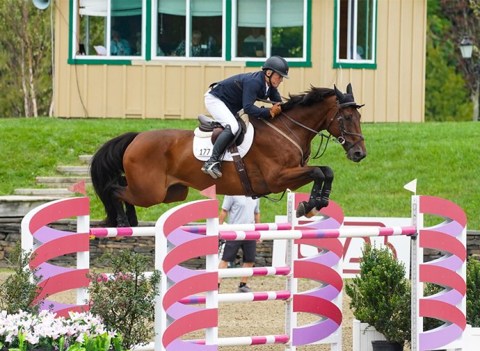 Aluminum Horse Jump Wings