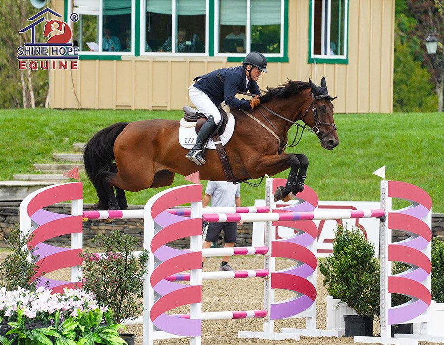 Aluminum Horse Jump Wings