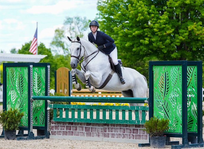 Aluminum Horse Jump Wings