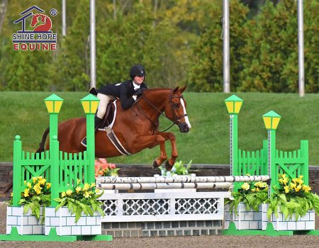 Aluminum Horse Jump Wings