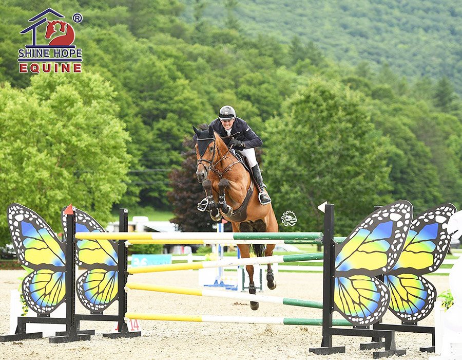 Aluminum Horse Jump Wings