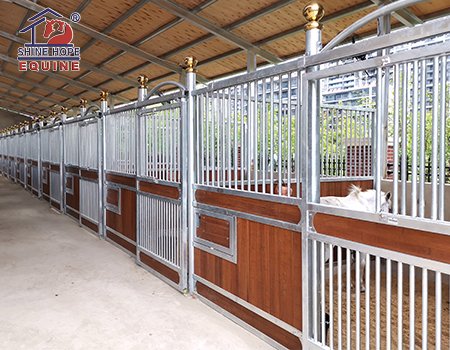 Horse Stall Front Sliding Door