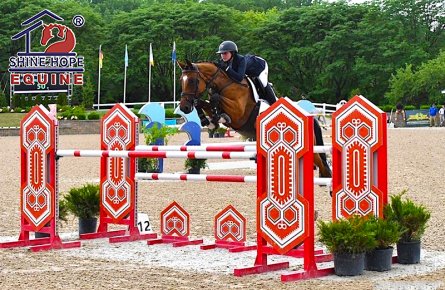 Horse Jumps & Dressage