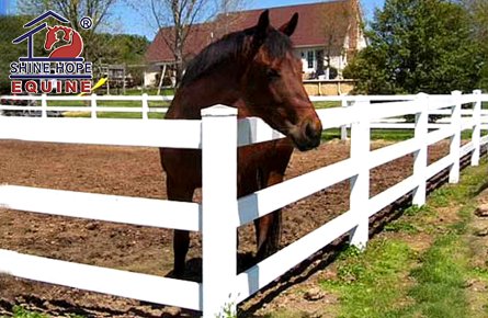 Horse Fencing