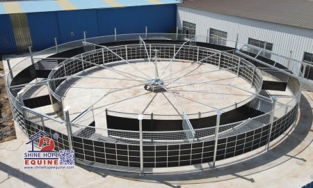 About Horse Walker: Everything You Need To Know