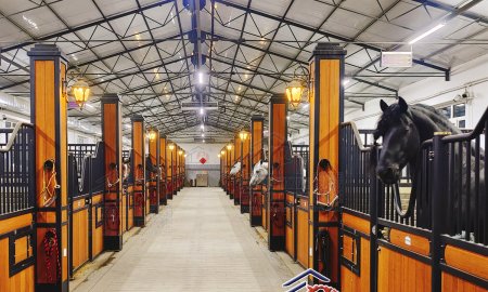 How To Choose The Correct Horse Stall Design