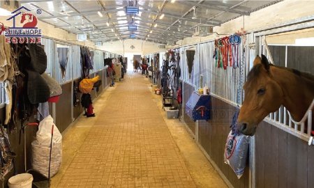 Top 6 Things To Know About Horse Stables