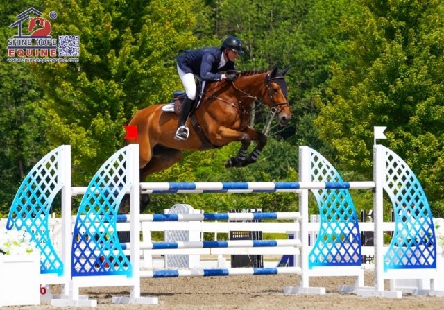 what is aluminum horse jumps