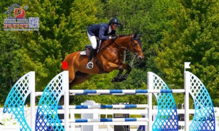 Exploring the Benefits of Aluminum Horse Jumps