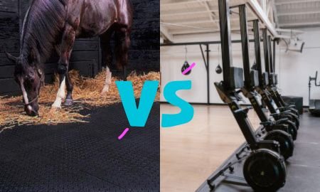 What's the Difference Between Horse Stall Mats and Gym Mats