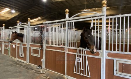 6 Types of Yoke Doors In Horse Stall From Shinehope Equine
