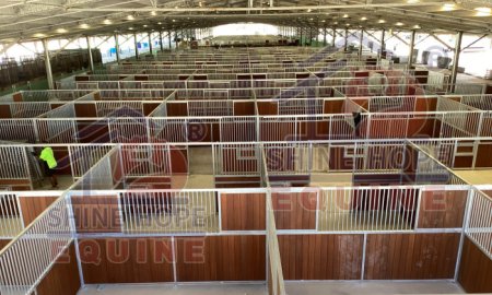 Explore the Horse Stall Partitions Design and Types