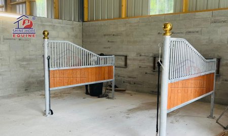 Thirteen Steps to Grooming Your Horse