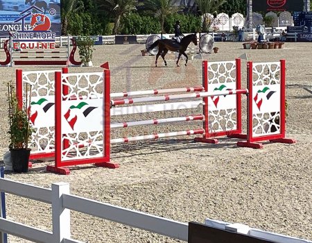 Vertical and Oxer jump