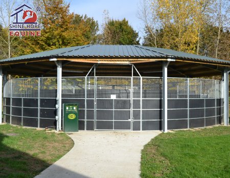 Roof Track Horse Exercise Machine