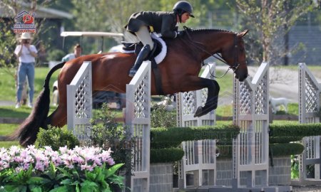 Get Into Professional Horseback Riding